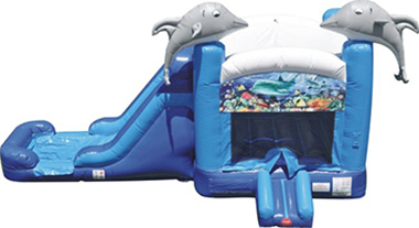 Baby Dolphin Combo Water Slide Thrill Zone Entertainment